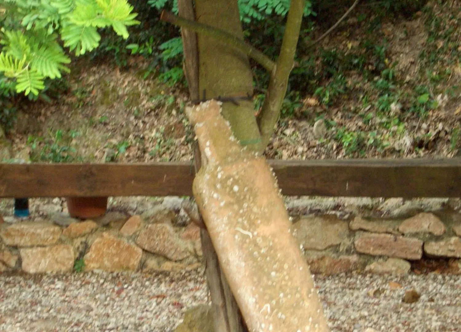 公寓 Villa Volpina 蒙泰亚尔真塔廖 意大利
